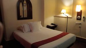 Economy Double Room room in Casa Palacio Pilar del Toro