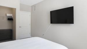 Landing Modern Apartment with Amazing Amenities (ID8750X25)