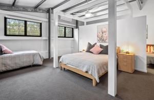 Winston Wallabies Urban Getaway