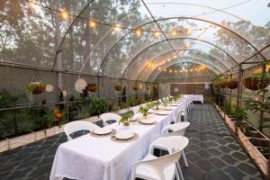 Winston Wallabies Urban Getaway