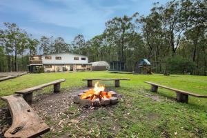 Winston Wallabies Urban Getaway