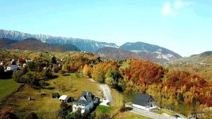 Carpathia Magic -adults only