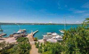 Apartment in Dobrinj - Insel Krk 35479 