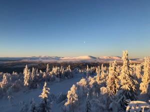 Ömsedal Funäsdalen