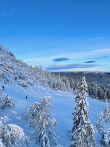 Ömsedal Funäsdalen
