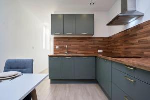 Maisons d'hotes House in Lille near Euratech private terrace. : photos des chambres