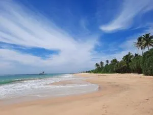 Happy Haven - Arachchikanda