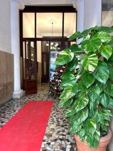 Casa Mia nel cuore di Napoli