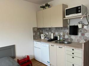 Apartament Słodowiec