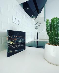 Duplex com Vista Mar a Passos da Praia - Just Sezimbra