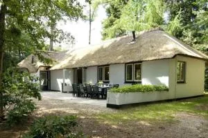 Familiehuis de Lariks - 12 persoons villa op de Veluwe - Wekerom