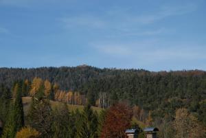 Haus Rappolder - Ferienwohnung