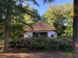 Bungalow De Schuilevink - 8p MIVA - Wekerom