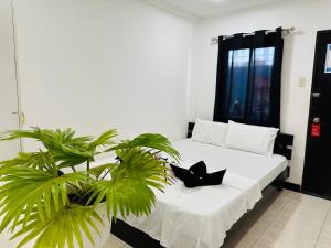 Buenas Pension House