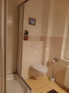 Apart-Zwergmoewe-im-Moewennest-Tossens