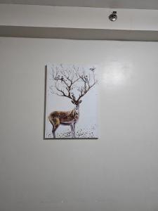 Tranquil Cool Studio Condo Mactan Cebu