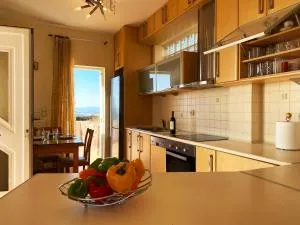 Aegina Sea View Villa - 派尔季卡