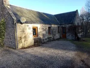 Old School - 金尤西