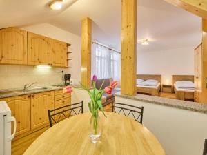 Studio Villa Belvedere-8 by Interhome - Ubytování bez kategorie ve městě Janské Lázně