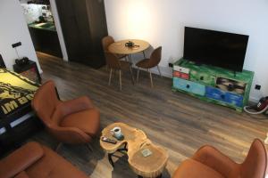 ski-inski-out apartment in Gudauri