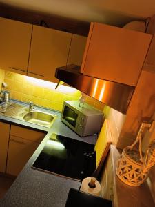 Apart-Lachmoewe-im-Moewennest-Tossens