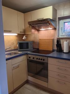 Apart-Lachmoewe-im-Moewennest-Tossens