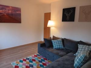 Apart-Lachmoewe-im-Moewennest-Tossens