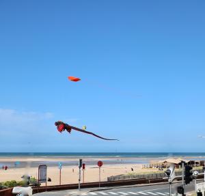 Appartements Nid douillet a 30 metres de la grande plage de Houlgate - RESIDENCE LA VAGUE - : photos des chambres