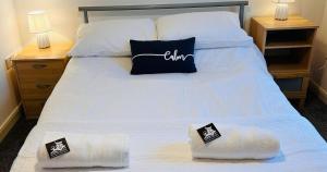 Spacious Modern Apartment