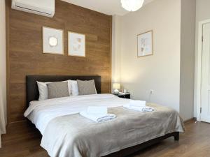 Top Centre Plovdiv Apt. With Parking for 4 Guests