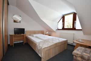 Single Room room in Penzion Lesna