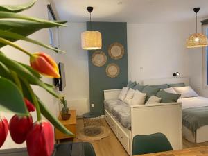Appartements Nid douillet tout equipe : photos des chambres