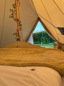 Roe Deer Meadow at Carr House Farm