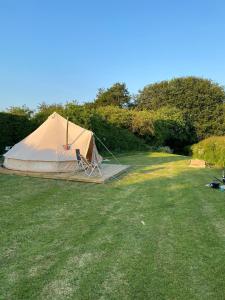 Roe Deer Meadow at Carr House Farm