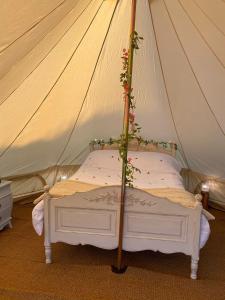 Roe Deer Meadow at Carr House Farm