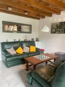 Muscadelle - 莫内斯捷