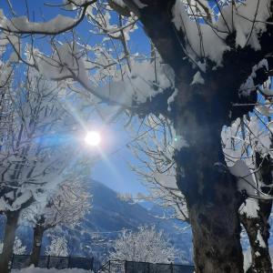 Gasthof Appartements Gamskar