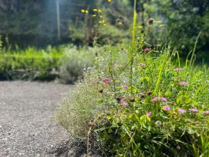 Maisons de vacances La maison de FanloU : photos des chambres
