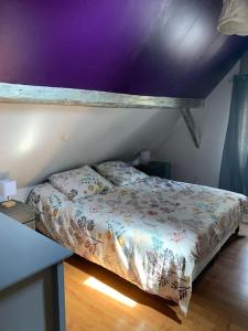 Maisons de vacances la Maison d'a cote de Strasbourg : photos des chambres