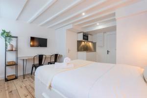 Lille center bright and functional studio