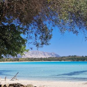 Casa Poseidon San Teodoro img10