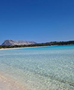 Casa Poseidon San Teodoro img12