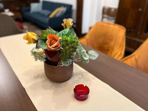 City centre stylish apartament with private backyard