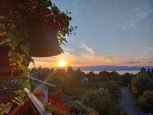 Sejours chez l'habitant Le Chalet des 3 Ours : photos des chambres
