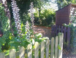 Cosy cottage+ secluded garden