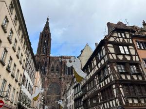 Appartements Studio design Nuee bleue tout equipe centre ville : photos des chambres