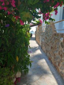 Anemomylos Apartments