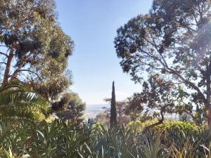 La Suite Costabella à Hyères-les-Palmiers