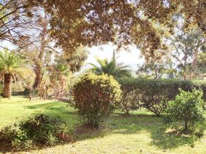 La Suite Costabella à Hyères-les-Palmiers