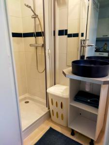 T2 entre rivière et château centre Vitré